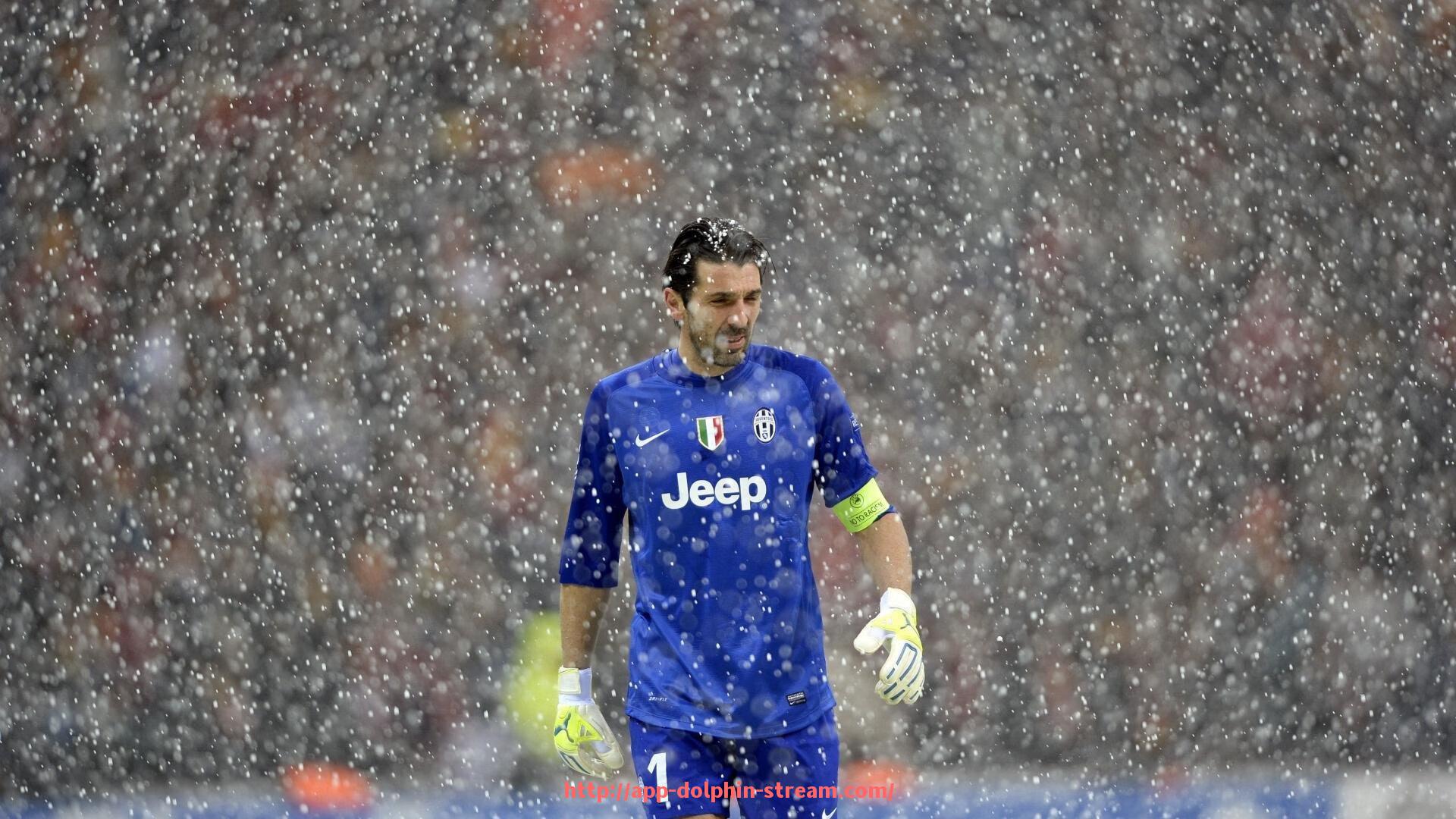 海豚直播-构建世俱杯赞助品牌联合推广策略：跨界合作模式下的整合营销