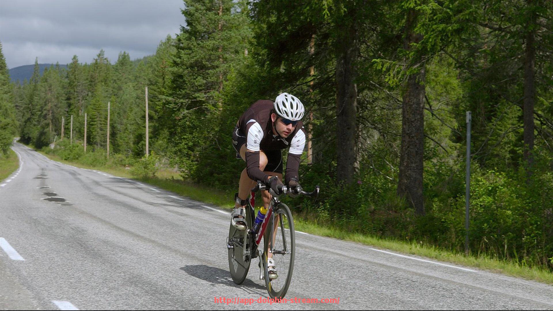 海豚直播-法甲球队战术策略构建及实战效果评估